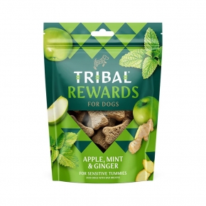 Tribal Apple, Mint & Ginger Treats 125g